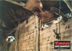 Zombies unter Kannibalen (Zombi Holocaust)