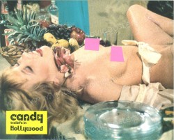 Candy treibt's in Hollywood (Candy Goes to Hollywood)