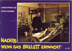 Nachts wenn das Skelett erwacht (Creeping Flesh, The)