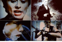 Female Misbehavior (Female Misbehavior)