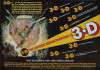Treasure of the Four Crowns (Tesoro de las cuatro coronas, El)