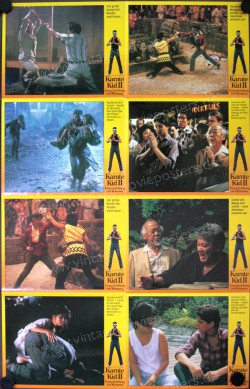 Karate Kid, Part II, The (Karate Kid, Part II, The)