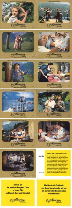 Wenn die Alpenrosen blüh'n (Wenn die Alpenrosen blüh'n)