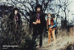 Jimi Plays Monterey (Jimi Plays Monterey)
