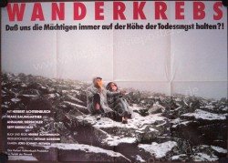 Wanderkrebs (Wanderkrebs)