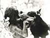 Wolfsjunge, Der (Enfant sauvage, L')