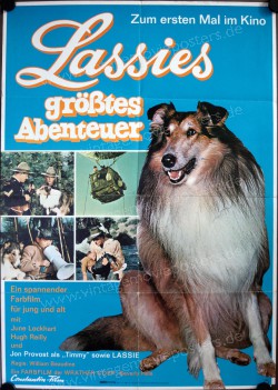Lassie's Great Adventure (Lassie's Great Adventure)