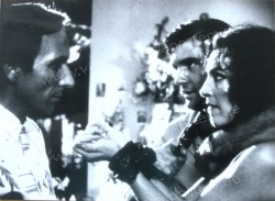 Law of Desire (Ley del Deseo, La)