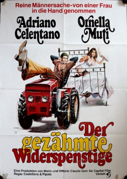 Taming of the Scoundrel, The (Bisbetico domato, Il)