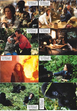 Gorillas im Nebel - Die Leidenschaft der Dian Fossey (Gorillas in the Mist: The Story of Dian Fossey)