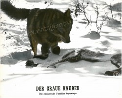 Graue Räuber, Der (Seryy razboynik)