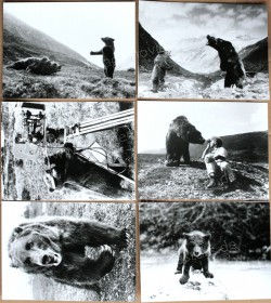 Bear, The (Ours, L')