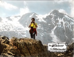 Wilderer vom Silberwald, Der (Wilderer vom Silberwald, Der)