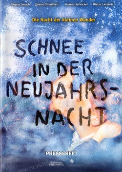 Snow on New Year's Eve (Schnee in der Neujahrsnacht)