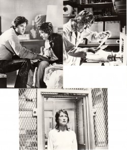 Silkwood (Silkwood)