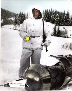 Agenten sterben einsam (Where Eagles Dare)
