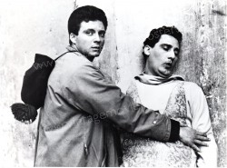 Young and the Passionate, The (Vitelloni, I)