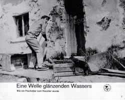 Mein Freund, der Otter (Ring of Bright Water)
