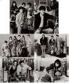 Women on the Verge of a Nervous Breakdown (Mujeres al borde de un ataque de nervios)