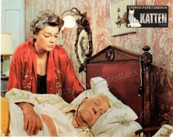 Katze, Die (Chat, Le)
