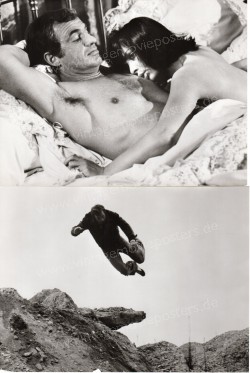 Windhund, Der (Flic ou Voyou)