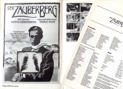 Magic Mountain, The (Zauberberg, Der)