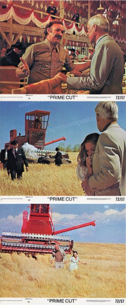 Professionals, Die (Prime Cut)