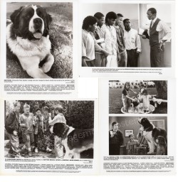 Beethoven (Neveu de Beethoven, Le)