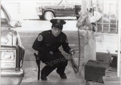 Police Academy 2: Their First Assignment (Police Academy 2: Their First Assignment)