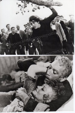Zorba the Greek (Alexis Zorbas)