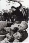 Zorba the Greek (Alexis Zorbas)