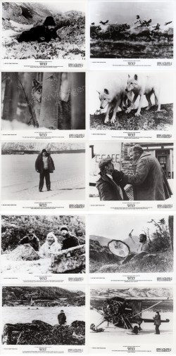 Wenn die Wölfe heulen (Never Cry Wolf)