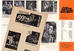 OSS 117 greift ein (OSS 117 se déchaîne)