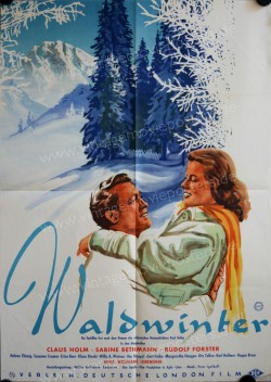 Waldwinter (Waldwinter)