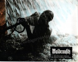Waldrausch (Waldrausch)