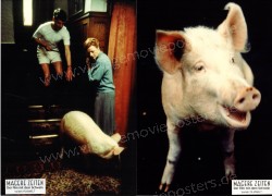 Magere Zeiten - Der Film mit dem Schwein (Private Function, A)