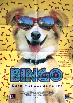Bingo! (Bingo!)