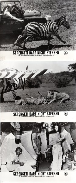 Serengeti darf nicht sterben (Serengeti darf nicht sterben)