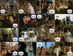 Long Live Robin Hood (Arciere di Sherwood, L')