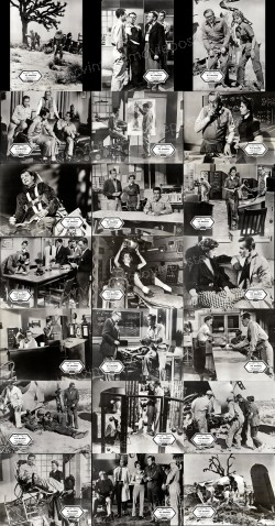 Riders to the Stars (Riders to the Stars)