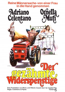 Taming of the Scoundrel, The (Bisbetico domato, Il)
