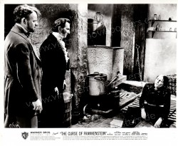 Curse of Frankenstein, The (Curse of Frankenstein, The)