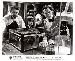 Curse of Frankenstein, The (Curse of Frankenstein, The)