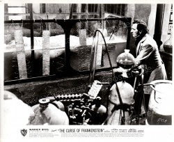 Curse of Frankenstein, The (Curse of Frankenstein, The)