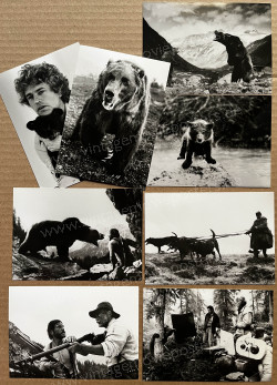 Bear, The (Ours, L')