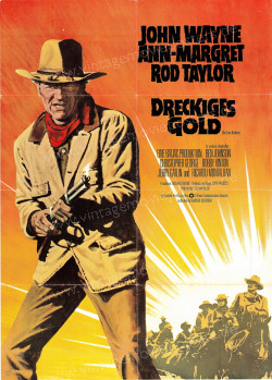 Train Robbers, The (Train Robbers, The)