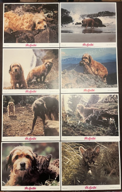 Benji the Hunted (Benji the Hunted)