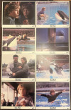 Free Willy - Ruf der Freiheit (Free Willy)