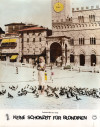 Love Specialist, The (Ragazza del palio, La)