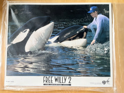 Free Willy 2 - Freiheit in Gefahr (Free Willy 2: The Adventure Home)